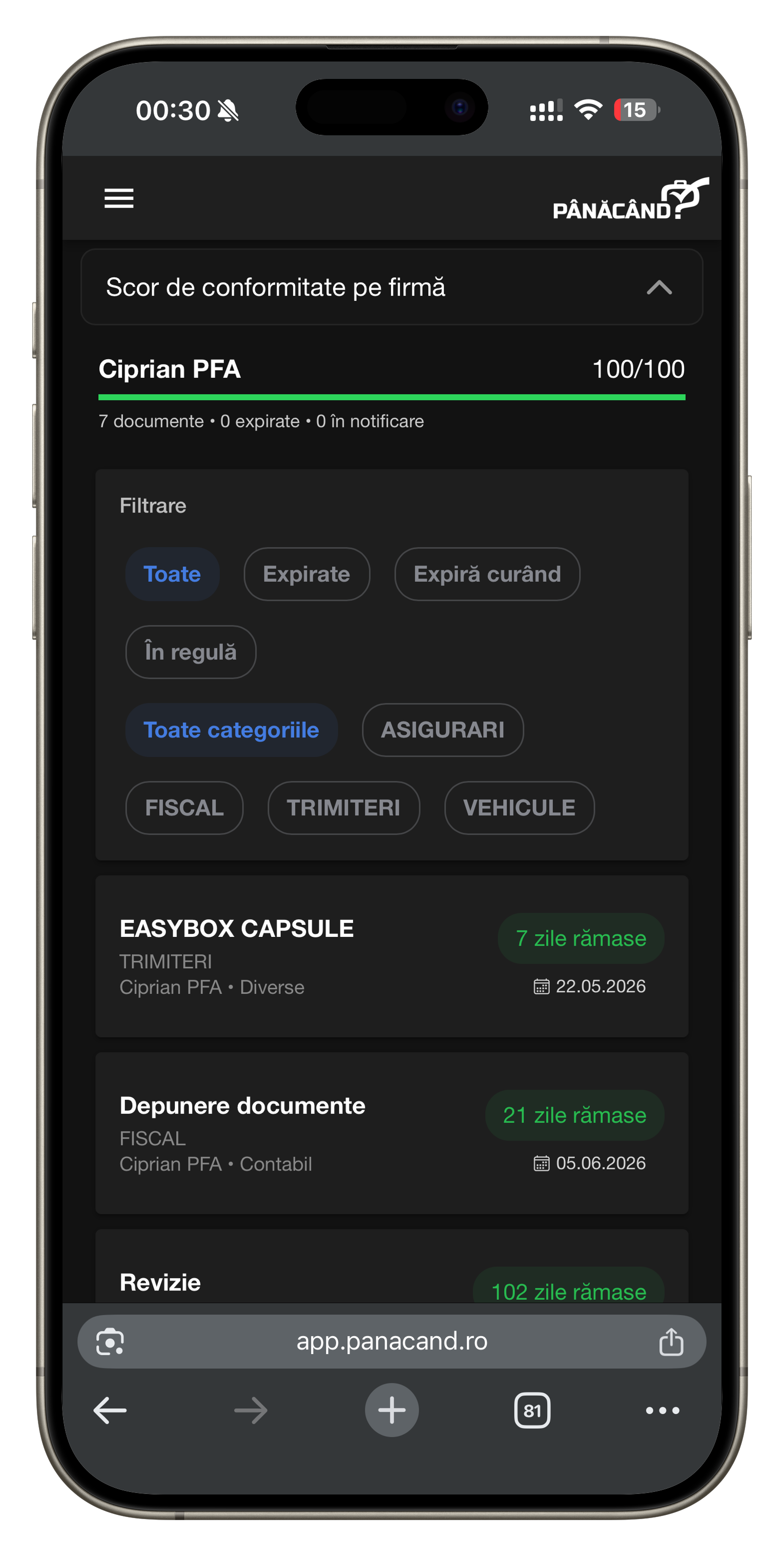 Screenshot mobil PanaCand.ro cu lista documentelor